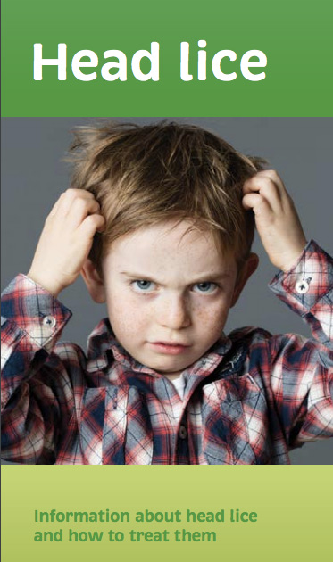 head lice and how to treat them health ed nz